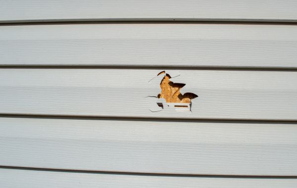 Siding Hole Patching in San Marcos